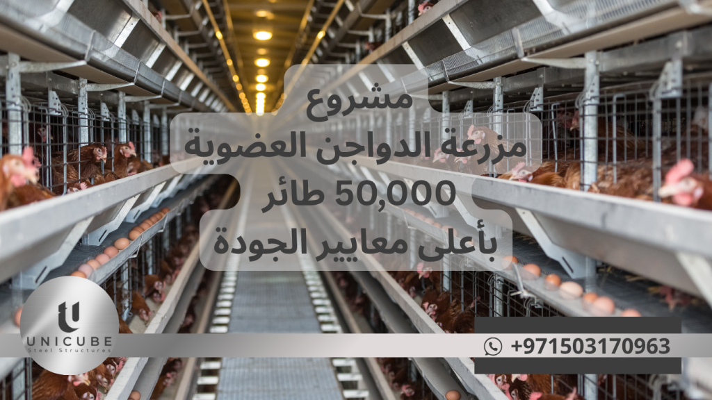 مشروع متكامل لمزرعة دواجن عضوية بقدرة 50,000 طائر. هياكل معدنية متخصصة، شهادات دولية، عائد استثمار 124%. استشارة مجانية متاحة.